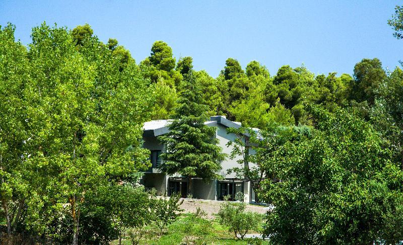 Sani More & Sani Woods (Adults Only) Exterior foto